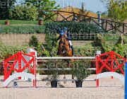 MONETA NEPTUNE CampITA2013- S5 9133 : Campionati Italiani 2013, Cattolica, Horse Riviera Resort, MONETA LUCA MARIA, NEPTUNE BRECOURT, foto di Stefano Secchi ©