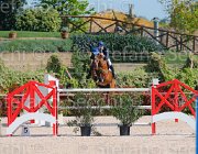 MONETA NEPTUNE CampITA2013- S5 9134 : Campionati Italiani 2013, Cattolica, Horse Riviera Resort, MONETA LUCA MARIA, NEPTUNE BRECOURT, foto di Stefano Secchi ©