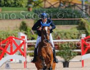 MONETA NEPTUNE CampITA2013- S5 9138 : Campionati Italiani 2013, Cattolica, Horse Riviera Resort, MONETA LUCA MARIA, NEPTUNE BRECOURT, foto di Stefano Secchi ©