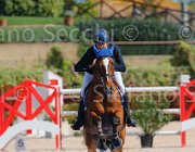 MONETA NEPTUNE CampITA2013- S5 9140 : Campionati Italiani 2013, Cattolica, Horse Riviera Resort, MONETA LUCA MARIA, NEPTUNE BRECOURT, foto di Stefano Secchi ©