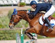 MONETA NEPTUNE CampITA2013- S5 9147 : Campionati Italiani 2013, Cattolica, Horse Riviera Resort, MONETA LUCA MARIA, NEPTUNE BRECOURT, foto di Stefano Secchi ©