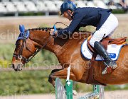 MONETA NEPTUNE CampITA2013- S5 9148 : Campionati Italiani 2013, Cattolica, Horse Riviera Resort, MONETA LUCA MARIA, NEPTUNE BRECOURT, foto di Stefano Secchi ©