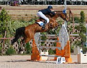 MONETA NEPTUNE CampITA2013- S5 9149 : Campionati Italiani 2013, Cattolica, Horse Riviera Resort, MONETA LUCA MARIA, NEPTUNE BRECOURT, foto di Stefano Secchi ©