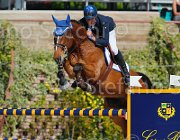 MONETA NEPTUNE CampITA2013- S5 9151 : Campionati Italiani 2013, Cattolica, Horse Riviera Resort, MONETA LUCA MARIA, NEPTUNE BRECOURT, foto di Stefano Secchi ©