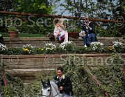 MOYERSOEN CANADA CampITA2013- S4 7946-2 : CANADA, Campionati Italiani 2013, Cattolica, Horse Riviera Resort, MOYERSOEN FILIPPO, foto di Stefano Secchi ©
