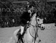 MOYERSOEN CANADA CampITA2013- S4 7950-3 : CANADA, Campionati Italiani 2013, Cattolica, Horse Riviera Resort, MOYERSOEN FILIPPO, foto di Stefano Secchi ©