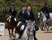 MOYERSOEN CANADA CampITA2013- S4 7956 : CANADA, Campionati Italiani 2013, Cattolica, Horse Riviera Resort, MOYERSOEN FILIPPO, foto di Stefano Secchi ©