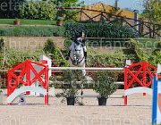 MOYERSOEN CANADA CampITA2013- S5 9163 : CANADA, Campionati Italiani 2013, Cattolica, Horse Riviera Resort, MOYERSOEN FILIPPO, foto di Stefano Secchi ©