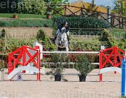 MOYERSOEN CANADA CampITA2013- S5 9164 : CANADA, Campionati Italiani 2013, Cattolica, Horse Riviera Resort, MOYERSOEN FILIPPO, foto di Stefano Secchi ©