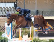 NOGARA LUCAS CampITA2013- S5 0530 : Campionati Italiani 2013, Cattolica, Horse Riviera Resort, LUCAS, NOGARA STEFANO, foto di Stefano Secchi ©