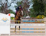 PACIOTTI SANTERINO ItaAss2013- S5 1236 : Campionati Italiani 2013, Cattolica, Horse Riviera Resort, PACIOTTI GIULIANO, SANTERINO, foto di Stefano Secchi ©