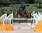 PACIOTTI SANTERINO ItaAss2013- S5 1243 : Campionati Italiani 2013, Cattolica, Horse Riviera Resort, PACIOTTI GIULIANO, SANTERINO, foto di Stefano Secchi ©