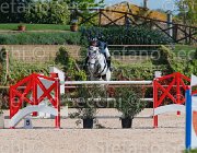 PALMIZI CORJULANA CampITA2013- S5 8975 : CORJULANA, Campionati Italiani 2013, Cattolica, Horse Riviera Resort, PALMIZI GIANLUCA, foto di Stefano Secchi ©
