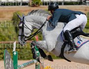 PALMIZI CORJULANA CampITA2013- S5 8984 : CORJULANA, Campionati Italiani 2013, Cattolica, Horse Riviera Resort, PALMIZI GIANLUCA, foto di Stefano Secchi ©