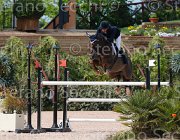 PANINI SALERMO CampITA2013- S5 0985 : Campionati Italiani 2013, Cattolica, Horse Riviera Resort, PANINI GIAN MARCO, SALERMO, foto di Stefano Secchi ©