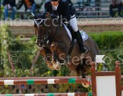 PANINI SALERMO CampITA2013- S5 0990 : Campionati Italiani 2013, Cattolica, Horse Riviera Resort, PANINI GIAN MARCO, SALERMO, foto di Stefano Secchi ©