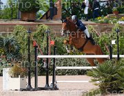 PAPPALETTERA QUICK CampITA2013- S5 0872 : Campionati Italiani 2013, Cattolica, Horse Riviera Resort, PAPPALETTERA SABINO, QUICK STEP 46, foto di Stefano Secchi ©