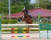 PAPPALETTERA QUICK CampITA2013- S5 0883 : Campionati Italiani 2013, Cattolica, Horse Riviera Resort, PAPPALETTERA SABINO, QUICK STEP 46, foto di Stefano Secchi ©
