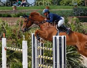 PAPPALETTERA QUICK CampITA2013- S5 0884 : Campionati Italiani 2013, Cattolica, Horse Riviera Resort, PAPPALETTERA SABINO, QUICK STEP 46, foto di Stefano Secchi ©