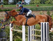 PAPPALETTERA QUICK CampITA2013- S5 0886 : Campionati Italiani 2013, Cattolica, Horse Riviera Resort, PAPPALETTERA SABINO, QUICK STEP 46, foto di Stefano Secchi ©