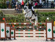 PARACCIANI MINOTIERE CampITA2013- S5 0805 : Campionati Italiani 2013, Cattolica, Horse Riviera Resort, NEPTUNE MINOTIERE, PARACCIANI GIANLUCA, foto di Stefano Secchi ©