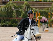 PARACCIANI MINOTIERE CampITA2013- S5 0808 : Campionati Italiani 2013, Cattolica, Horse Riviera Resort, NEPTUNE MINOTIERE, PARACCIANI GIANLUCA, foto di Stefano Secchi ©