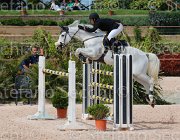 PARACCIANI MINOTIERE CampITA2013- S5 0809 : Campionati Italiani 2013, Cattolica, Horse Riviera Resort, NEPTUNE MINOTIERE, PARACCIANI GIANLUCA, foto di Stefano Secchi ©