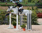 PARACCIANI MINOTIERE CampITA2013- S5 0810 : Campionati Italiani 2013, Cattolica, Horse Riviera Resort, NEPTUNE MINOTIERE, PARACCIANI GIANLUCA, foto di Stefano Secchi ©