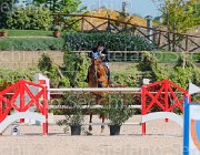 PISANI CHICO CampITA2013- S5 9380 : CHICO Z, Campionati Italiani 2013, Cattolica, Horse Riviera Resort, PISANI RICCARDO, foto di Stefano Secchi ©