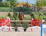PISANI CHICO CampITA2013- S5 9381 : CHICO Z, Campionati Italiani 2013, Cattolica, Horse Riviera Resort, PISANI RICCARDO, foto di Stefano Secchi ©