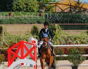 PISANI CHICO CampITA2013- S5 9382 : CHICO Z, Campionati Italiani 2013, Cattolica, Horse Riviera Resort, PISANI RICCARDO, foto di Stefano Secchi ©