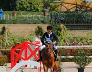 PISANI CHICO CampITA2013- S5 9383 : CHICO Z, Campionati Italiani 2013, Cattolica, Horse Riviera Resort, PISANI RICCARDO, foto di Stefano Secchi ©