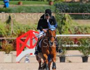 PISANI CHICO CampITA2013- S5 9386 : CHICO Z, Campionati Italiani 2013, Cattolica, Horse Riviera Resort, PISANI RICCARDO, foto di Stefano Secchi ©