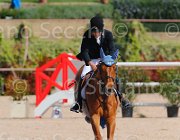 PISANI CHICO CampITA2013- S5 9387 : CHICO Z, Campionati Italiani 2013, Cattolica, Horse Riviera Resort, PISANI RICCARDO, foto di Stefano Secchi ©