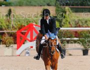 PISANI CHICO CampITA2013- S5 9388 : CHICO Z, Campionati Italiani 2013, Cattolica, Horse Riviera Resort, PISANI RICCARDO, foto di Stefano Secchi ©