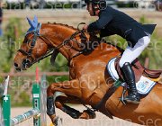 PISANI CHICO CampITA2013- S5 9390 : CHICO Z, Campionati Italiani 2013, Cattolica, Horse Riviera Resort, PISANI RICCARDO, foto di Stefano Secchi ©