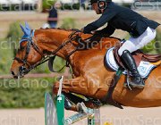 PISANI CHICO CampITA2013- S5 9391 : CHICO Z, Campionati Italiani 2013, Cattolica, Horse Riviera Resort, PISANI RICCARDO, foto di Stefano Secchi ©
