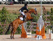 PISANI CHICO CampITA2013- S5 9392 : CHICO Z, Campionati Italiani 2013, Cattolica, Horse Riviera Resort, PISANI RICCARDO, foto di Stefano Secchi ©