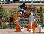PISANI CHICO CampITA2013- S5 9393 : CHICO Z, Campionati Italiani 2013, Cattolica, Horse Riviera Resort, PISANI RICCARDO, foto di Stefano Secchi ©
