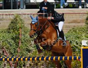 PISANI CHICO CampITA2013- S5 9394 : CHICO Z, Campionati Italiani 2013, Cattolica, Horse Riviera Resort, PISANI RICCARDO, foto di Stefano Secchi ©