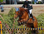 PISANI CHICO CampITA2013- S5 9395 : CHICO Z, Campionati Italiani 2013, Cattolica, Horse Riviera Resort, PISANI RICCARDO, foto di Stefano Secchi ©