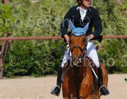 PISANI CHICO CampITA2013- S5 9398 : CHICO Z, Campionati Italiani 2013, Cattolica, Horse Riviera Resort, PISANI RICCARDO, foto di Stefano Secchi ©