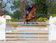 POMPONI ESTRAL CampITA2013- S5 1263 : Campionati Italiani 2013, Cattolica, ESTRAL, Horse Riviera Resort, POMPONI PAOLO, foto di Stefano Secchi ©