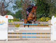 POMPONI ESTRAL ItaAss2013- S5 1262 : Campionati Italiani 2013, Cattolica, ESTRAL, Horse Riviera Resort, POMPONI PAOLO, foto di Stefano Secchi ©