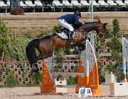 PORRO COLOMBEA CampITA2013- S5 9645 : COLOMBEA, Campionati Italiani 2013, Cattolica, Horse Riviera Resort, PORRO MARCO, foto di Stefano Secchi ©