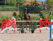 PRANDI ALA CampITA2013- S5 9457 : ALA DEL CASTEGNO, Campionati Italiani 2013, Cattolica, Horse Riviera Resort, PRANDI ROBERTO, foto di Stefano Secchi ©