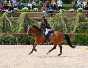 PUSCEDDU RODRIEMO CampITA2013- S5 0386 : Campionati Italiani 2013, Cattolica, Horse Riviera Resort, PUSCEDDU GIUSEPPE, RODRIEMO, foto di Stefano Secchi ©