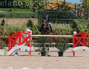 QUONDAM CASINO CampITA2013- S5 9328 : CASINO, Campionati Italiani 2013, Cattolica, Horse Riviera Resort, QUONDAM GREGORIO, foto di Stefano Secchi ©
