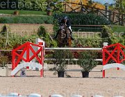 QUONDAM CASINO CampITA2013- S5 9329 : CASINO, Campionati Italiani 2013, Cattolica, Horse Riviera Resort, QUONDAM GREGORIO, foto di Stefano Secchi ©