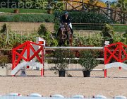 QUONDAM CASINO CampITA2013- S5 9330 : CASINO, Campionati Italiani 2013, Cattolica, Horse Riviera Resort, QUONDAM GREGORIO, foto di Stefano Secchi ©